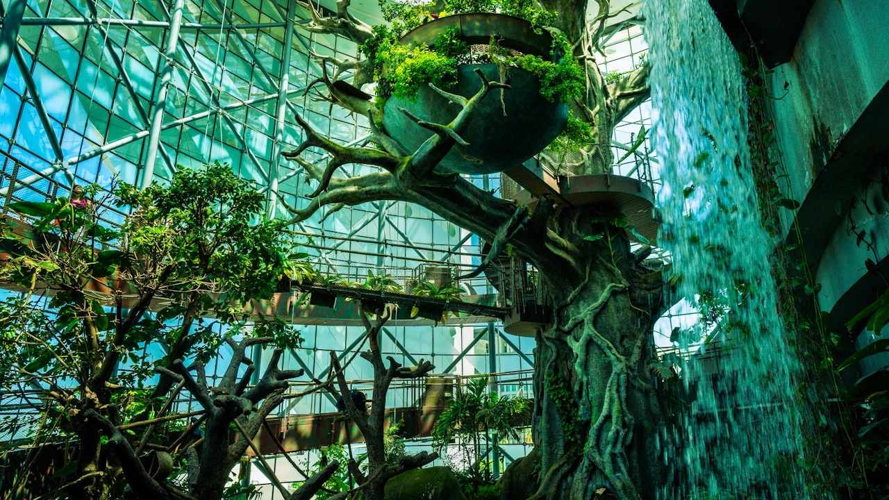 لایه بالایی جنگل سیاره سبز