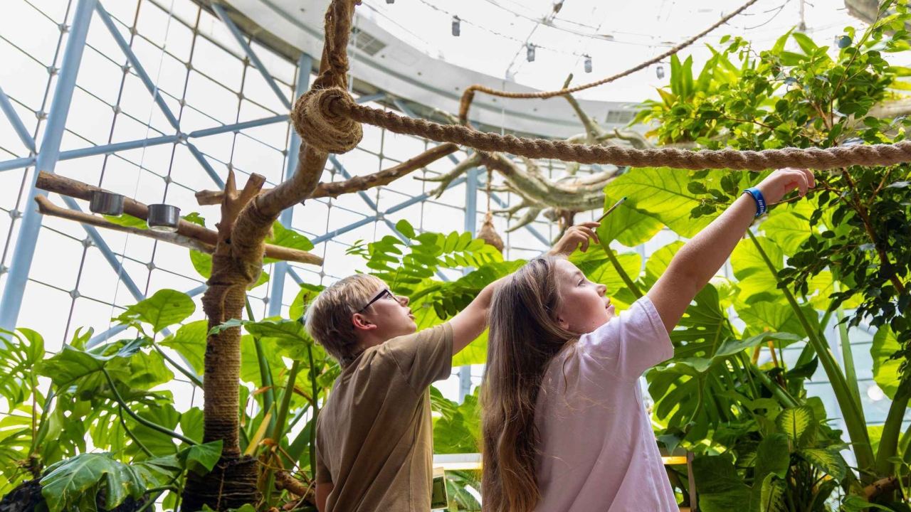 کودکان در گرین پلنت دبی